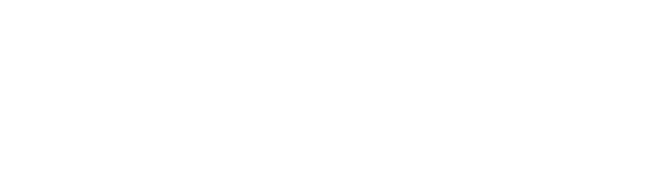 transparenrt logo